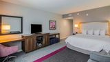<b>Hampton Inn & Suites Dallas/Richardson Room</b>. Images powered by <a href="https://iceportal.shijigroup.com/" title="IcePortal" target="_blank">IcePortal</a>.