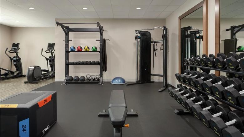 <b>Hampton Inn & Suites Tampa Busch Gardens Health</b>. Images powered by <a href="https://iceportal.shijigroup.com/" title="IcePortal" target="_blank">IcePortal</a>.