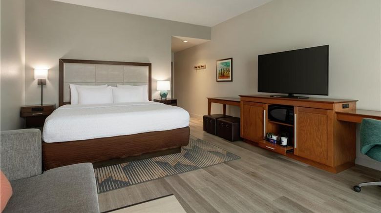 <b>Hampton Inn & Suites Tampa Busch Gardens Room</b>. Images powered by <a href="https://iceportal.shijigroup.com/" title="IcePortal" target="_blank">IcePortal</a>.
