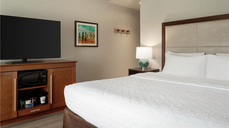<b>Hampton Inn & Suites Tampa Busch Gardens Room</b>. Images powered by <a href="https://iceportal.shijigroup.com/" title="IcePortal" target="_blank">IcePortal</a>.