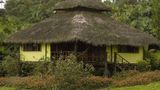 Arasha Resort and Spa Exterior