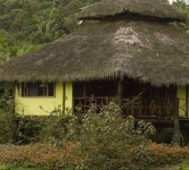 Arasha Resort and Spa Exterior
