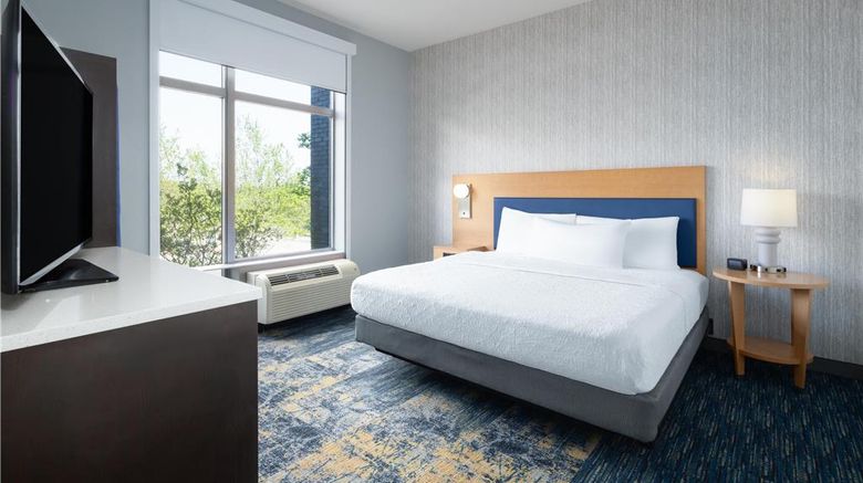 <b>Home2 Suites by Hilton Greenville Dtwn Room</b>. Images powered by <a href="https://iceportal.shijigroup.com/" title="IcePortal" target="_blank">IcePortal</a>.