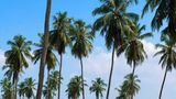 Shangri-La's Hambantota Resort & Spa Golf