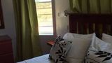 La Heliconia Room
