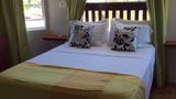 La Heliconia Room