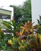 Sea Splash Resort