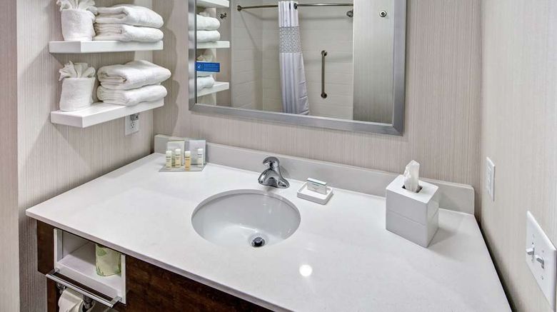 <b>Hampton Inn Summerville Room</b>. Images powered by <a href="https://iceportal.shijigroup.com/" title="IcePortal" target="_blank">IcePortal</a>.