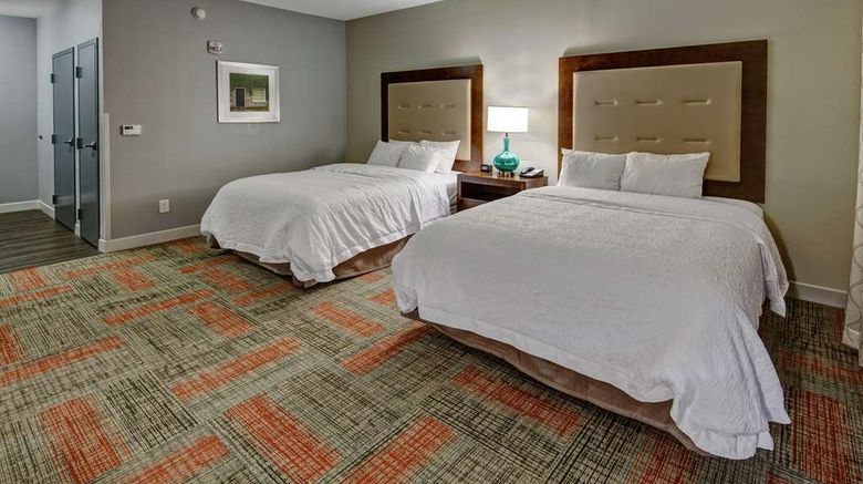 <b>Hampton Inn Summerville Room</b>. Images powered by <a href="https://iceportal.shijigroup.com/" title="IcePortal" target="_blank">IcePortal</a>.