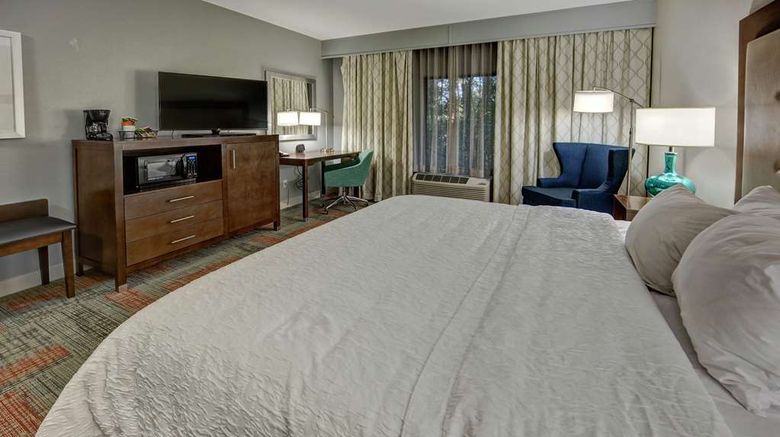 <b>Hampton Inn Summerville Room</b>. Images powered by <a href="https://iceportal.shijigroup.com/" title="IcePortal" target="_blank">IcePortal</a>.
