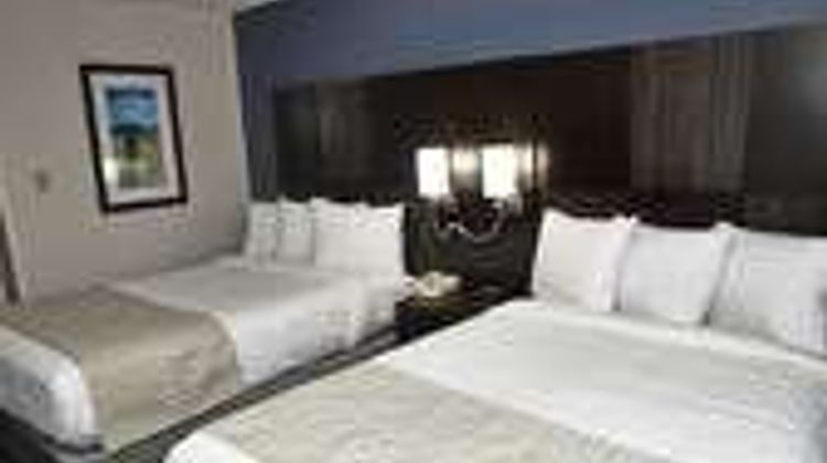 Falmouth Inn Room