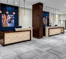 DoubleTree by Hilton Arlington DFW South Lobby