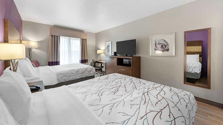 Best Western Plus Buda Austin Inn & Sts Room