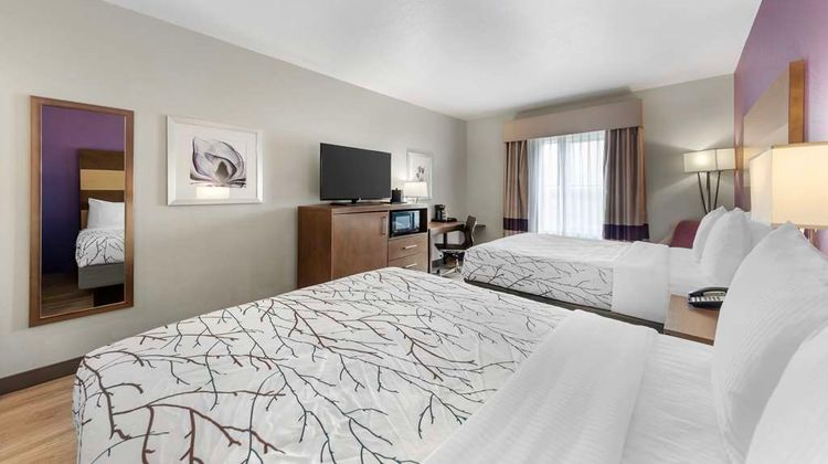 Best Western Plus Buda Austin Inn & Sts Room