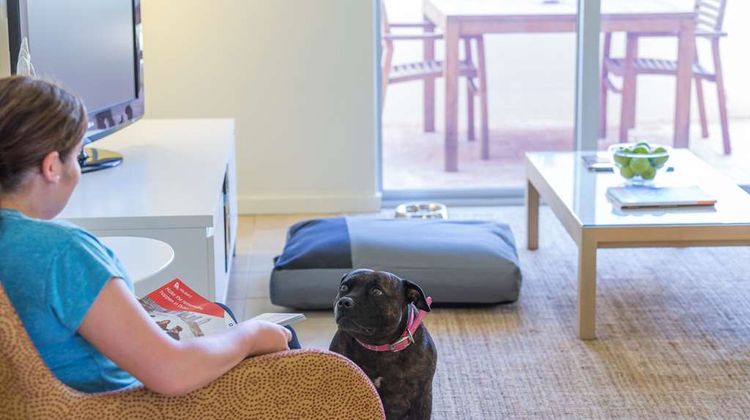 Nesuto Geraldton Apartment Hotel Other