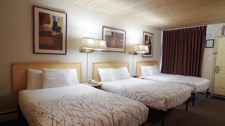 Canadas Best Value Inn & Suites Fernie Room