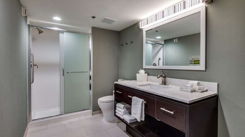 <b>Home2 Suites by Hilton DFW Airport South Room</b>. Images powered by <a href="https://iceportal.shijigroup.com/" title="IcePortal" target="_blank">IcePortal</a>.
