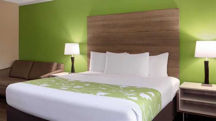 Wyndham Garden Washington DC  North Room