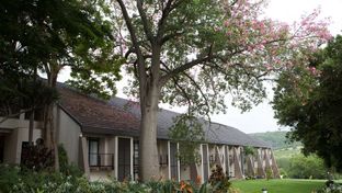 Sabi River Sun Resort