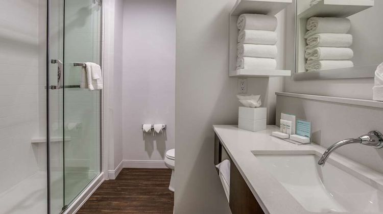 Hampton Inn/Suites Dallas - Central Expy Room