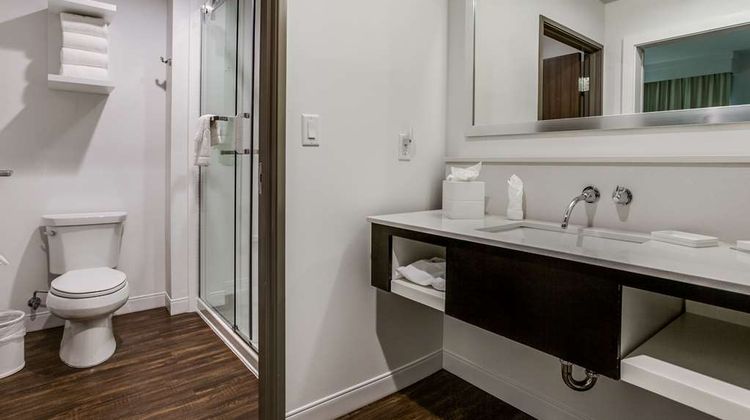 Hampton Inn/Suites Dallas - Central Expy Room