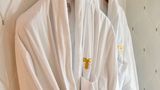 <b>Hotel Thoumieux Room</b>. Images powered by <a href="https://iceportal.shijigroup.com/" title="IcePortal" target="_blank">IcePortal</a>.