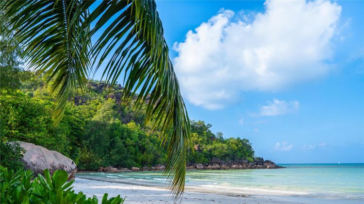 Paradise Sun Hotel Beach