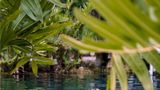 Alila Mayakoba Recreation