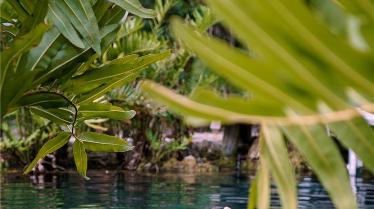 Alila Mayakoba Recreation