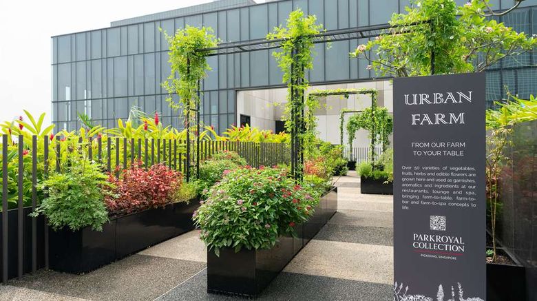 <b>PARKROYAL COLLECTION Pickering,Singapore Other</b>. Images powered by <a href="https://iceportal.shijigroup.com/" title="IcePortal" target="_blank">IcePortal</a>.