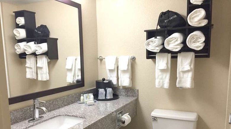 <b>Best Western Plus Birmingham Inn &Suites Room</b>. Images powered by <a href="https://iceportal.shijigroup.com/" title="IcePortal" target="_blank">IcePortal</a>.