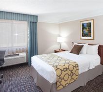 Baymont Inn & Suites Texarkana Room
