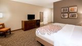 La Quinta Inn & Suites Durango Room