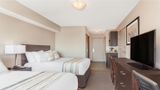 Ramada by Wyndham Grassland Room