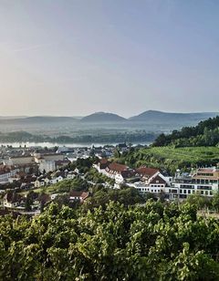 Steigenberger Hotel & Spa Krems
