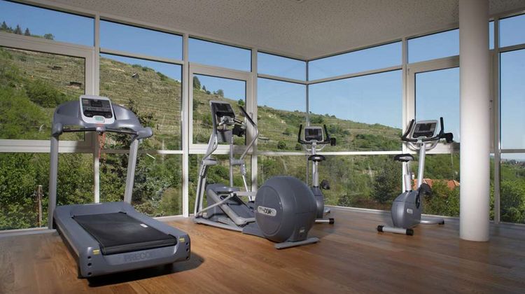 Steigenberger Hotel & Spa Krems Health