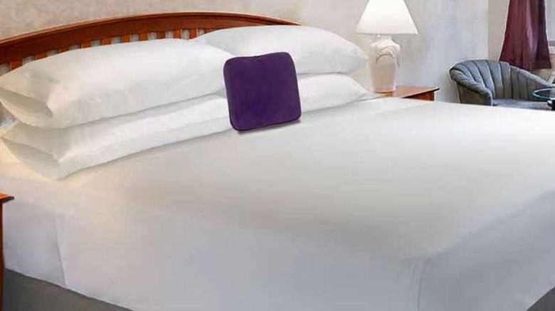 <b>Knights Inn Center Valley Room</b>. Images powered by <a href="https://iceportal.shijigroup.com/" title="IcePortal" target="_blank">IcePortal</a>.