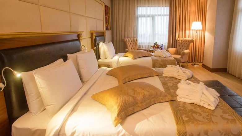 <b>Wyndham Batumi Room</b>. Images powered by <a href="https://iceportal.shijigroup.com/" title="IcePortal" target="_blank">IcePortal</a>.