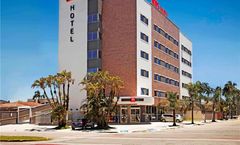 Ibis Paranagua