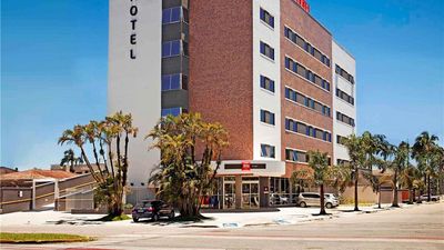 Ibis Paranagua
