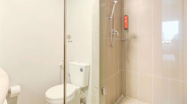 <b>Ibis Paranagua Room</b>. Images powered by <a href="https://iceportal.shijigroup.com/" title="IcePortal" target="_blank">IcePortal</a>.