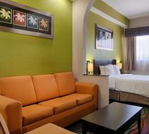 Days Inn/Bonita Springs North Naples Room