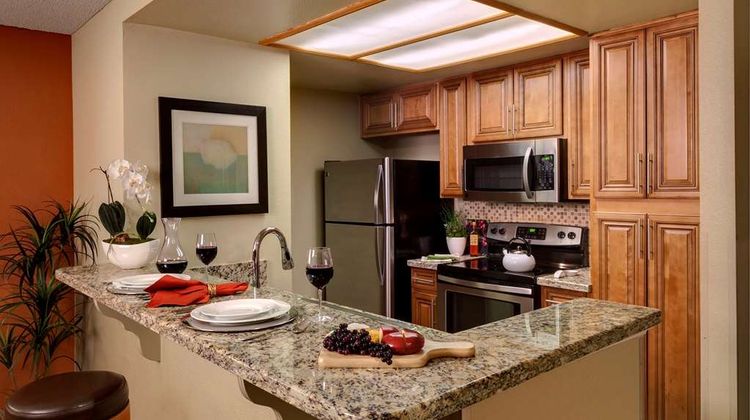 Hyatt Vacation Club at Desert Oasis Other