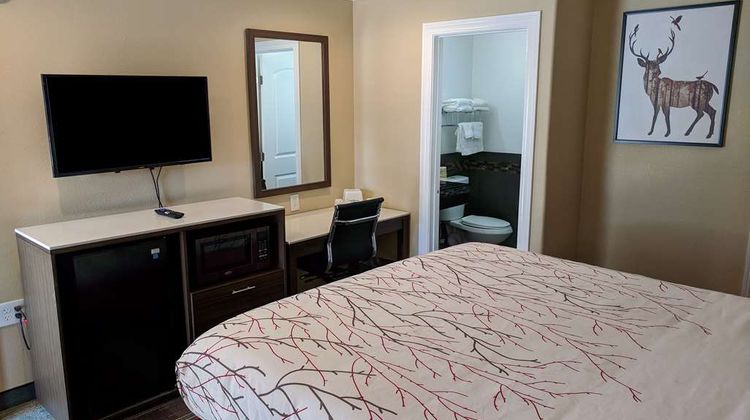 Americas Best Value Inn Antioch Room