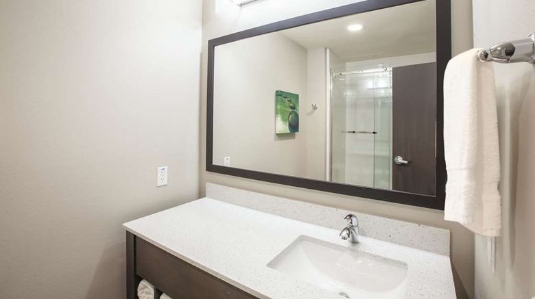 <b>La Quinta Inn & Suites Broken Arrow Room</b>. Images powered by <a href="https://iceportal.shijigroup.com/" title="IcePortal" target="_blank">IcePortal</a>.
