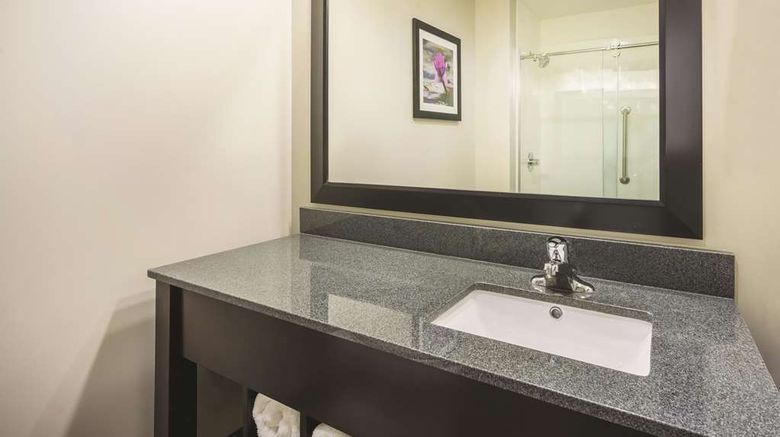 <b>La Quinta Inn & Suites Clifton Park Room</b>. Images powered by <a href="https://iceportal.shijigroup.com/" title="IcePortal" target="_blank">IcePortal</a>.