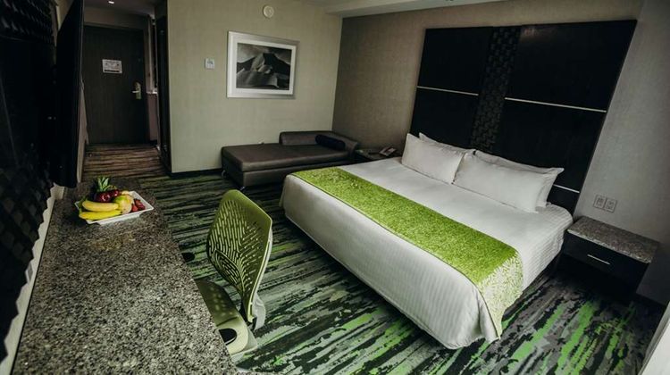Hotel Mirra Room