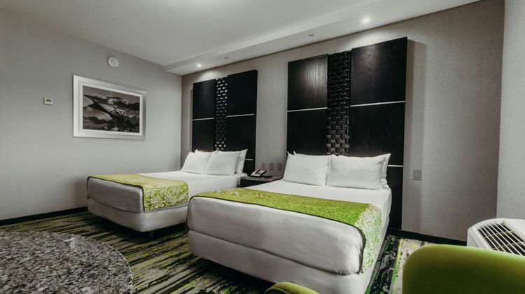 Hotel Mirra Room
