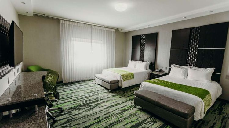 Hotel Mirra Room