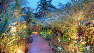 Hotel Casa Chameleon
